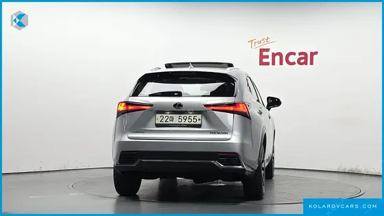 LEXUS NX EXECUTIVE