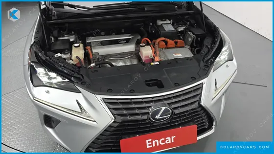 LEXUS NX EXECUTIVE