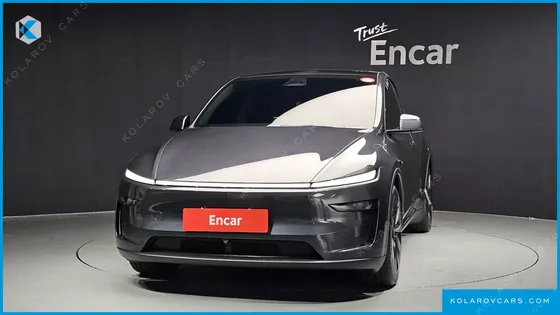 TESLA MODEL Y LONG RANGE AWD