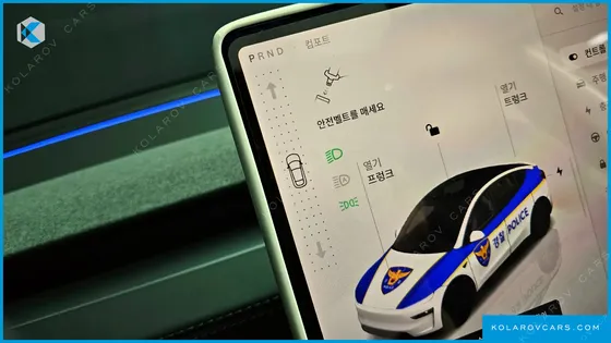 TESLA MODEL Y LONG RANGE AWD