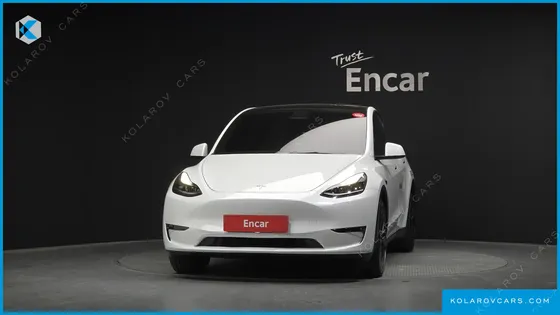 TESLA MODEL Y LONG RANGE AWD