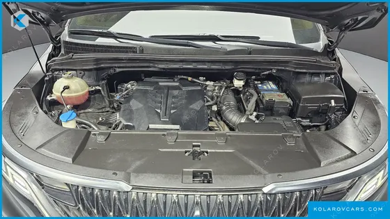 KIA CARNIVAL GASOLINE 7-SEATER HI-LIMOUSINE