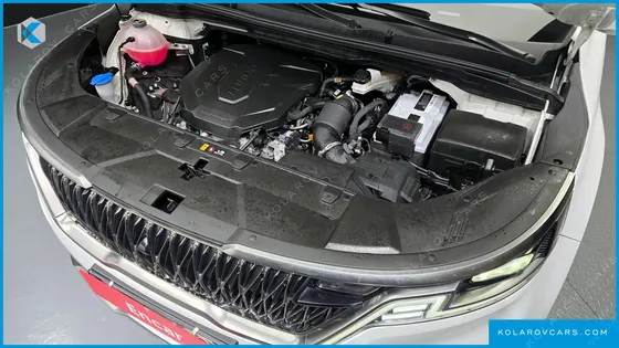 KIA CARNIVAL 9-SEATER NOBLESSE
