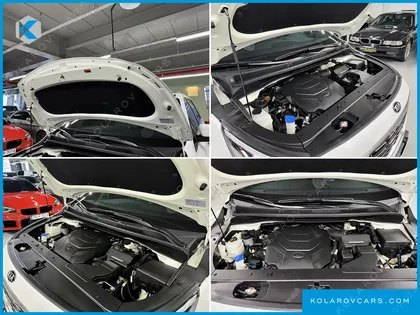 KIA CARNIVAL GASOLINE 7-SEATER LIMOUSINE