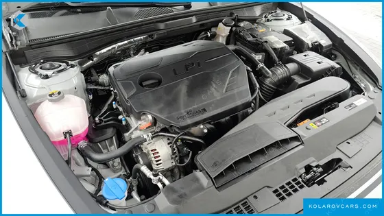 HYUNDAI SONATA 2.0 LPG(DISABLED)