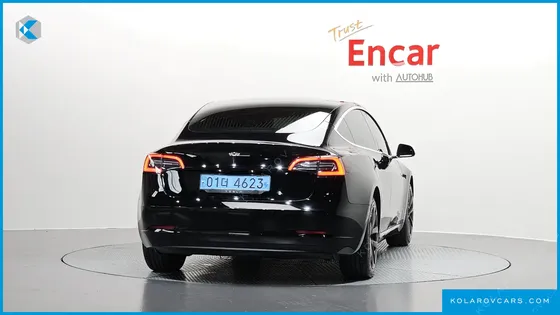 TESLA MODEL 3 STANDARD RANGE PLUE RWD