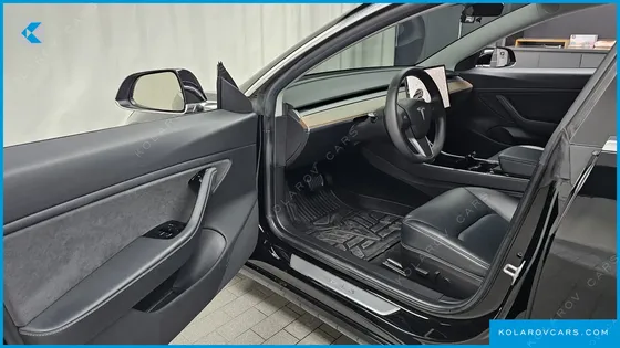 TESLA MODEL 3 STANDARD RANGE PLUE RWD