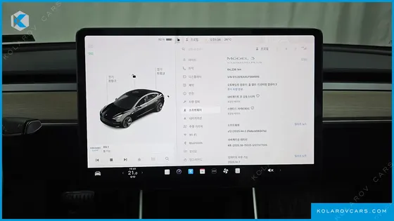 TESLA MODEL 3 STANDARD RANGE PLUE RWD