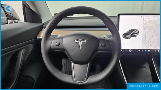 TESLA MODEL 3 STANDARD RANGE PLUE RWD