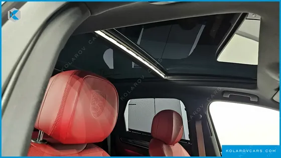 PORSCHE CAYENNE 3.0 E-HYBRID PLATINUM EDITION