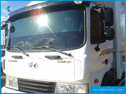 HYUNDAI MEGA TRUCK GOLD