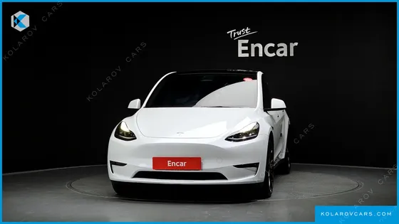 TESLA MODEL Y PERFORMANCE AWD