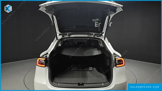 TESLA MODEL Y PERFORMANCE AWD