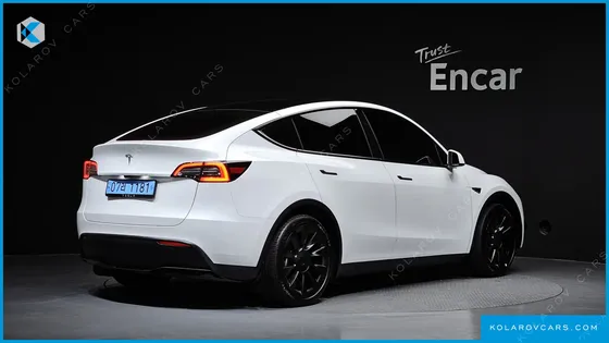TESLA MODEL Y RWD