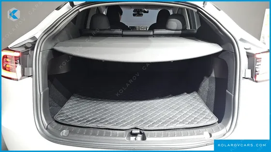 TESLA MODEL Y RWD