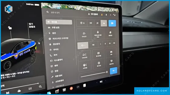TESLA MODEL Y RWD