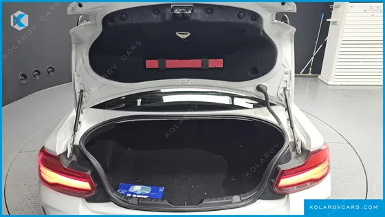 BMW M2 M2 COUPE M PERFORMANCE STEERING WHEEL EDITION