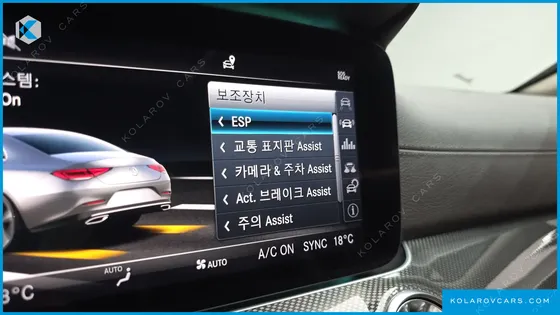 MERCEDES CLS-CLASS CLS300D AMG LINE