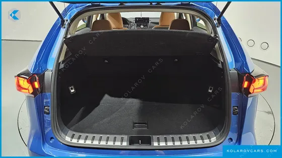LEXUS NX SUPREME