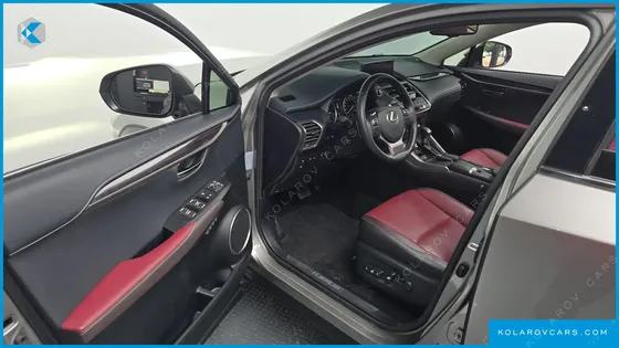 LEXUS NX EXECUTIVE