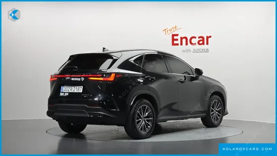 LEXUS NX PREMIUM