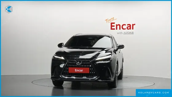 LEXUS NX PREMIUM