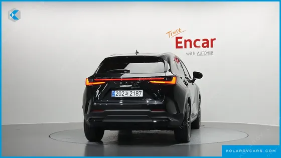 LEXUS NX PREMIUM
