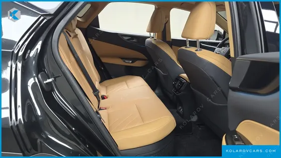 LEXUS NX PREMIUM