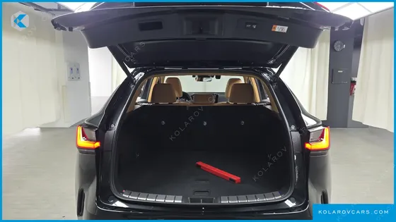 LEXUS NX PREMIUM