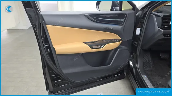 LEXUS NX PREMIUM