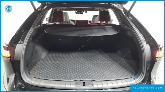 LEXUS RX F-SPORT