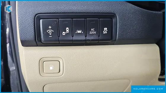KIA CARNIVAL GASOLINE 9-SEATER HI-LIMOUSINE
