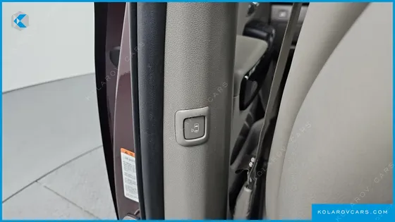 KIA CARNIVAL 9-SEATER NOBLESSE SPECIAL