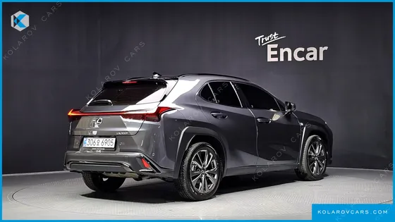 LEXUS UX 2.0 F-SPORT 2WD