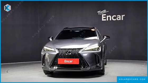 LEXUS UX 2.0 F-SPORT 2WD