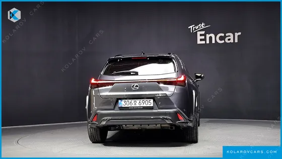LEXUS UX 2.0 F-SPORT 2WD