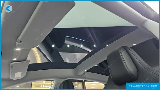 TESLA MODEL 3 PERFORMANCE AWD