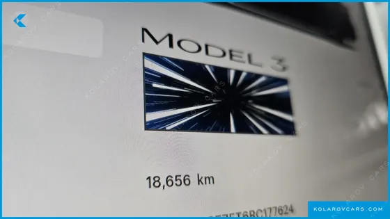 TESLA MODEL 3 PERFORMANCE AWD