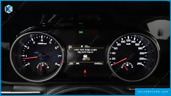 KIA CARNIVAL GASOLINE 9-SEATER NOBLESSE