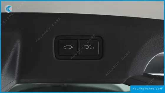 KIA CARNIVAL GASOLINE 9-SEATER NOBLESSE