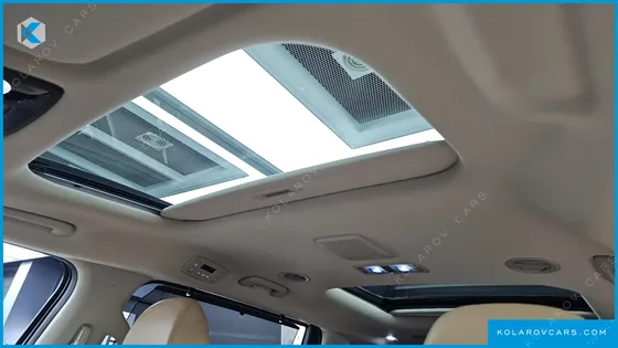 KIA CARNIVAL 9-SEATER SIGNATURE