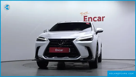 LEXUS NX PREMIUM