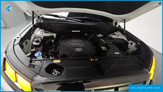 HYUNDAI PALISADE GASOLINE 3.8 2WD