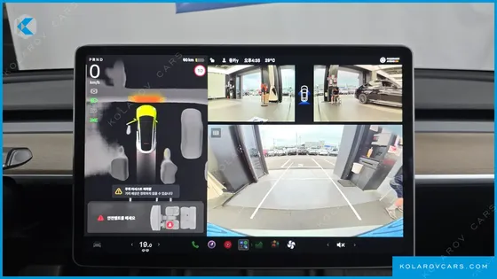 TESLA MODEL Y RWD