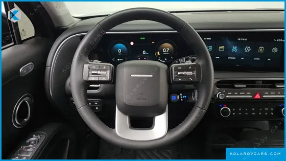 HYUNDAI PALISADE GASOLINE 2.5T 2WD 9-SEATER