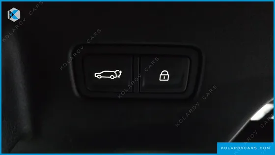 HYUNDAI PALISADE GASOLINE 2.5T 4WD 9-SEATER