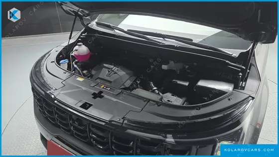 KIA CARNIVAL GASOLINE 9 SEATER X LINE