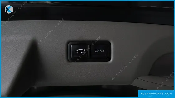 KIA CARNIVAL GASOLINE 9 SEATER X LINE