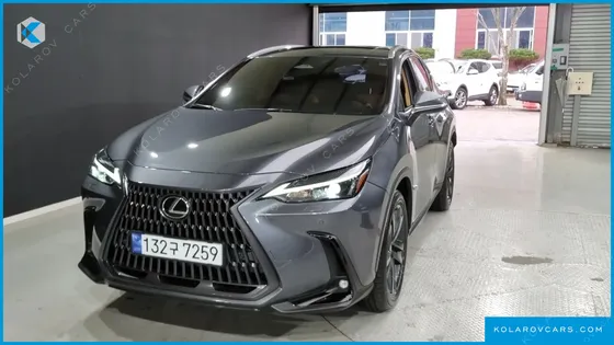 LEXUS NX PREMIUM