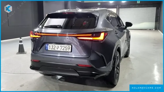 LEXUS NX PREMIUM